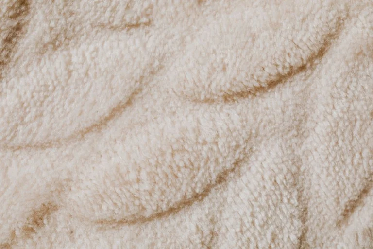 Soft neutral carpet in a living room
